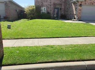 Anirban B.'s landscaping service result