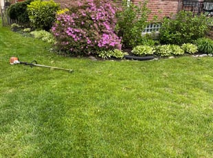 Arlene B.'s landscaping services service result