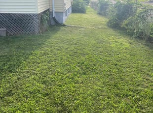 Lawrence P.'s lawn care service result