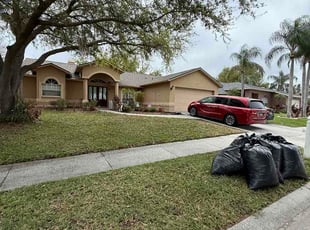 Steven S.'s Leaf Removal service result