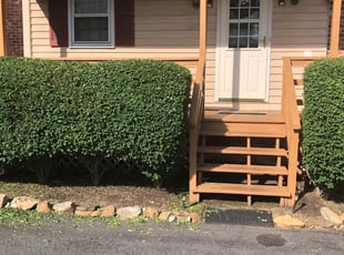 Eduart M.'s Bush Trimming service result