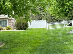 Kenneth D.'s Long Grass Cleanup service result