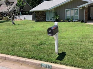 Brenda W.'s yard maintenance service result