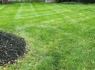 Steven M.'s lawn care services service result