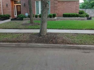 Ken M.'s Leaf Removal service result