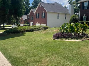 Tina F.'s Bush Trimming service result
