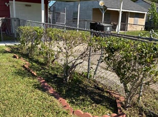 Emanuel J.'s Bush Trimming service result