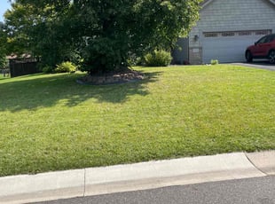 Anna K.'s grass cutting service result