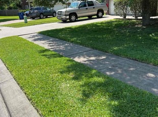 Michael P.'s grass cutting service result
