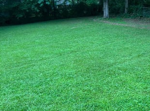 Wayne G.'s lawn service service result
