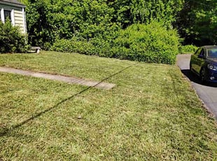 Denise S.'s lawn care service result