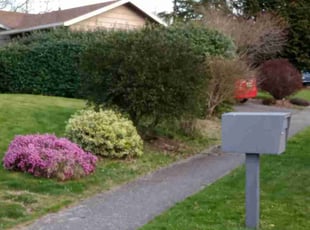 Vince M.'s Bush Trimming service result