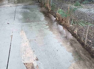 Sherry M.'s Bush Trimming service result