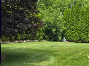 Christine S.'s lawn care service result