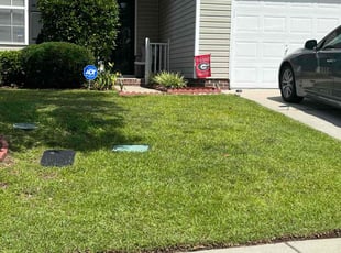 Troy T.'s turf maintenance service result
