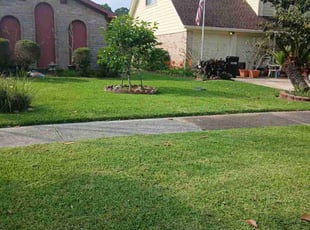 Jay P.'s lawn maintenance service result