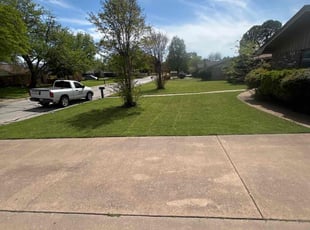 Walter N.'s lawn service service result