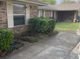 Kristi S.'s Bush Trimming service result