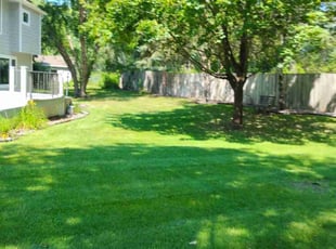 Demetria B.'s turf maintenance service result
