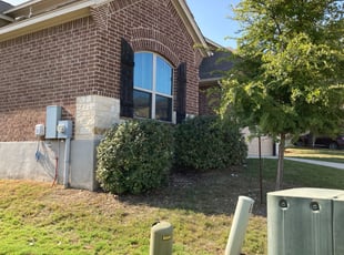 Michael H.'s Bush Trimming service result