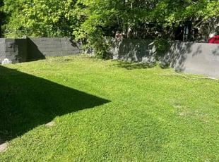 Janice t.'s lawn maintenance service result
