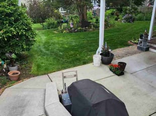 Barbara B.'s grass maintenance service result