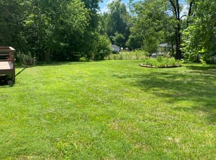 Xavier M.'s lawn maintenance service result