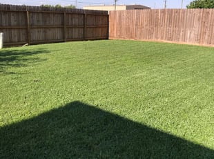 Moriah P.'s lawn care service result