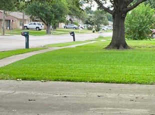 Dustin L.'s grass maintenance service result