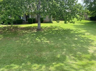 Marvin W.'s lawn care services service result