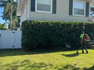 Bernard H.'s Bush Trimming service result