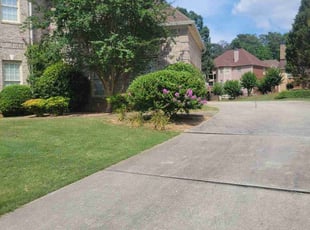 Tomeika E.'s turf maintenance service result