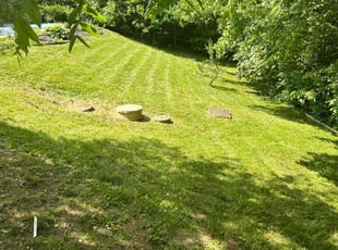 Ann L.'s lawn service service result