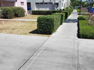 Vinny V.'s Bush Trimming service result