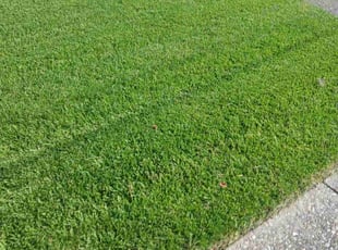 Joseph E.'s lawn maintenance service result