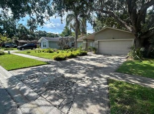 Beverly E.'s turf maintenance service result