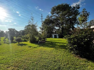Randolph P.'s lawn care services service result