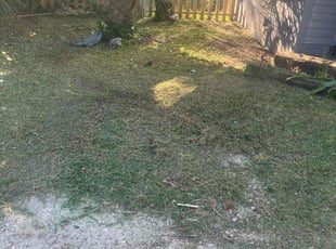 Janet N.'s lawn service service result