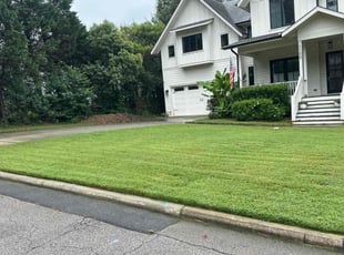 Greg B.'s lawn care service result