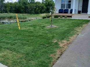 Linda P.'s lawn service service result