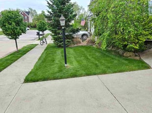 Jennifer R.'s lawn maintenance service result