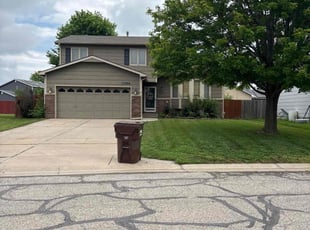 Madison C.'s lawn service service result