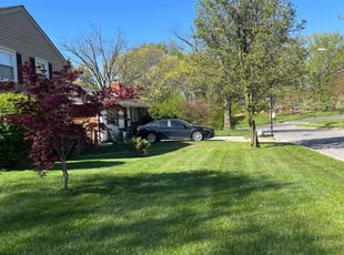 Ashly R.'s lawn maintenance service result