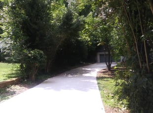 Joyce T.'s Bush Trimming service result