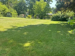 Kimberly K.'s turf care service result