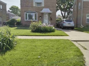 Robin W.'s grass maintenance service result