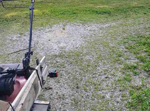 Kevin B.'s lawn care services service result
