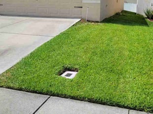 Dan L.'s lawn care services service result