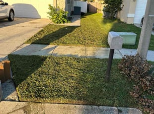 Pauline B.'s lawn care services service result
