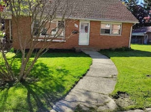 Chad D.'s turf care service result